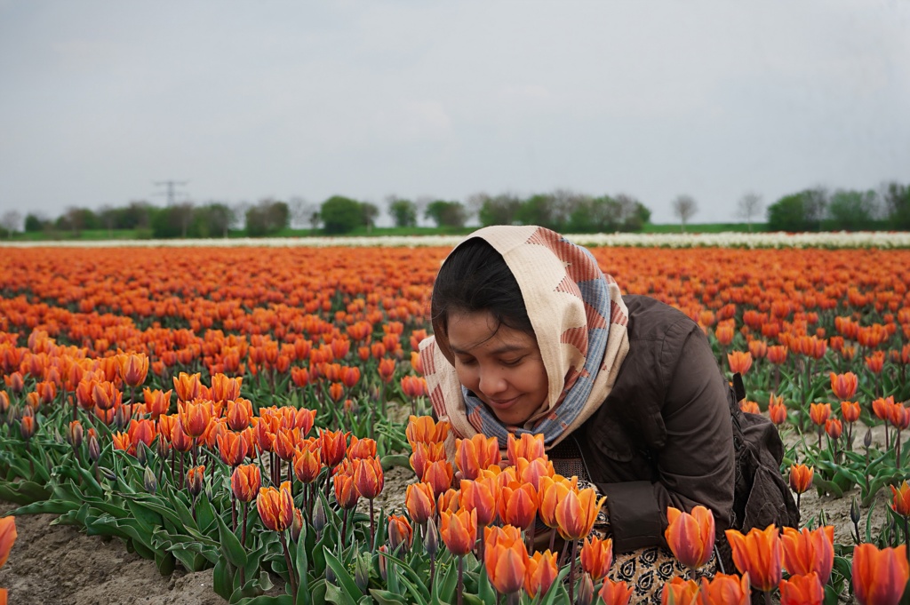 My Flowers Photography