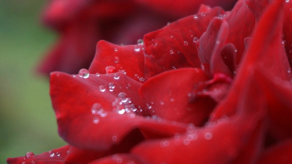 DPP07DF0111000D10