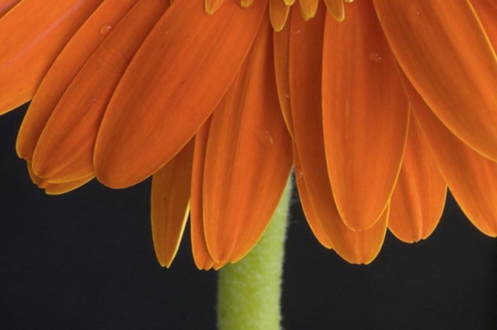 DPP07DF03080A0C04