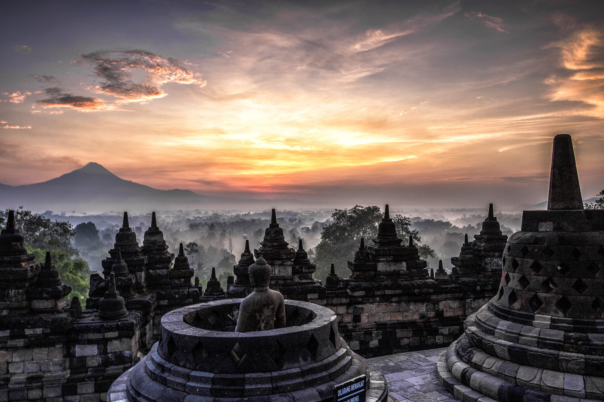 3236